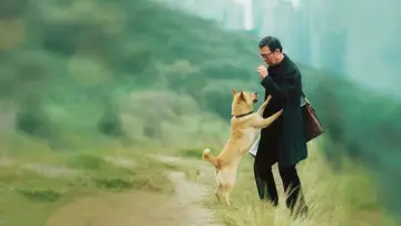 Zasłona do filmu "忠犬八公" #191752