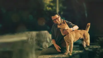 Zasłona do filmu "忠犬八公" #472160