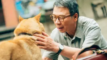 Zasłona do filmu "忠犬八公" #472162