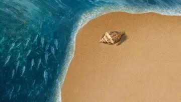 Zasłona do filmu "Moana" #954057