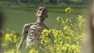 Zasłona do filmu "28 lat później" #520623