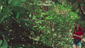 Zasłona do filmu "El loro" #1650315