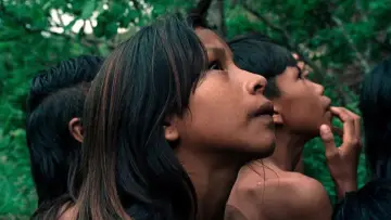 Zasłona do filmu "Kwiat buriti" #1086161