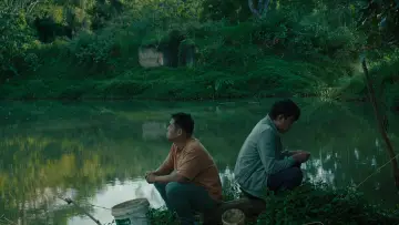 Zasłona do filmu "W żółtym kokonie" #196652