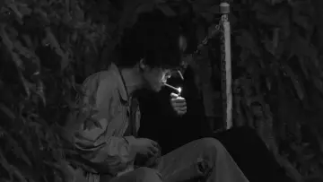 Zasłona do filmu "花腐し" #1091259
