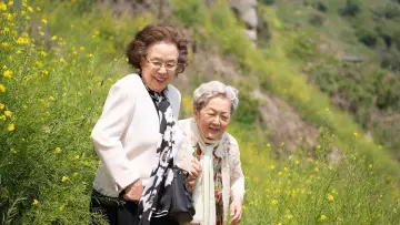 Zasłona do filmu "소풍" #191130