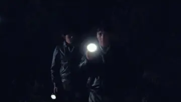 Zasłona do filmu "Tylko rzeka płynie" #1003250