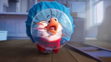 Zasłona do filmu "Kot Prot" #1644856
