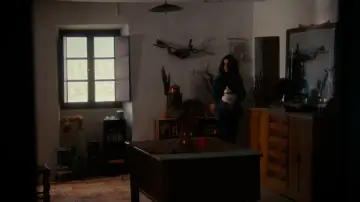 Zasłona do filmu "Germanes" #199519