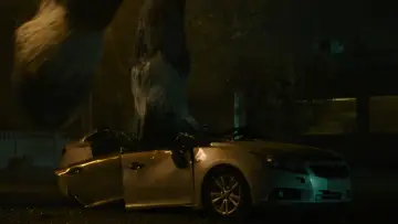 Zasłona do filmu "Baw się dobrze i przeżyj" #523444