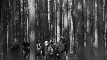 Zasłona do filmu "Zielona granica" #191081