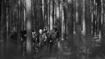 Zasłona do filmu "Zielona granica" #756087
