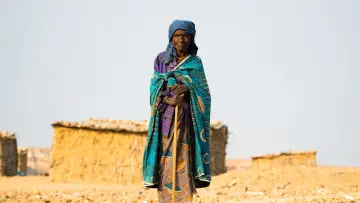 Zasłona do filmu "Territorio Africano 2" #420649