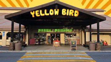Zasłona do filmu "Yellow Bird" #743579