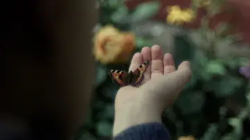 Zasłona do filmu "Wartość sentymentalna" #761189