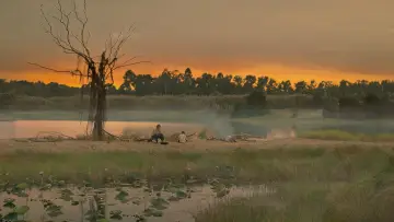 Zasłona do filmu "Đất Rừng Phương Nam" #392293