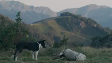 Zasłona do filmu "The Shepherd and the Bear" #927000