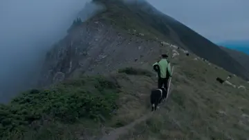 The Shepherd and the Bear