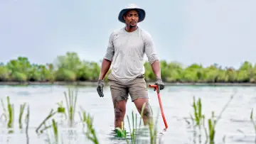 Zasłona do filmu "Shark Beach with Anthony Mackie" #876509