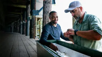 Zasłona do filmu "Shark Beach with Anthony Mackie" #876511
