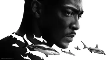 Zasłona do filmu "Shark Beach with Anthony Mackie" #876514