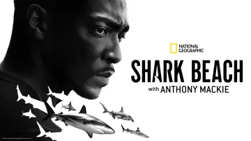 Zasłona do filmu "Shark Beach with Anthony Mackie" #876515