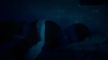 Zasłona do filmu "Leur existence" #1191663