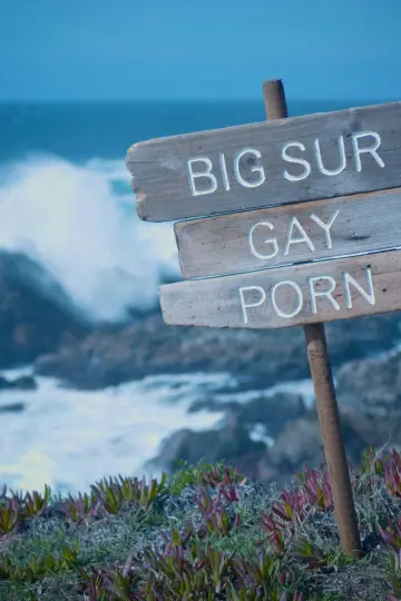 Plakat do filmu "Big Sur Gay Porn" #315347