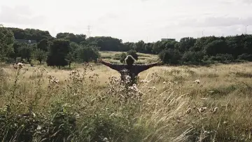 Zasłona do filmu "Bird" #610265
