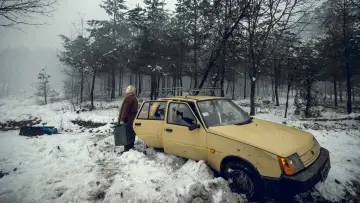 Zasłona do filmu "Zwierzęta na wojnie" #692689