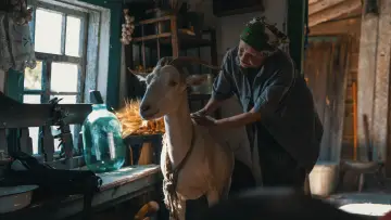 Zasłona do filmu "Zwierzęta na wojnie" #692705
