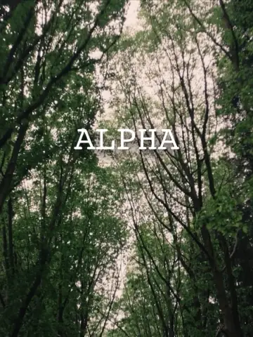 Alfa plakat