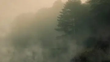 Zasłona do filmu "Kim jest oprawca z Ozark?" #1628241