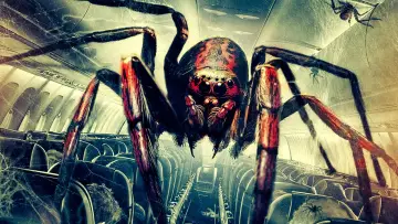 Zasłona do filmu "Spiders on a Plane" #1121161