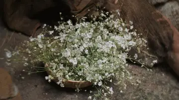 Zasłona do filmu "Materialiści" #558698