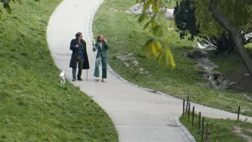 Zasłona do filmu "C