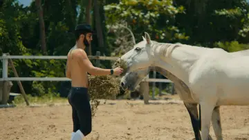 Zasłona do filmu "O Cavalo de Pedro" #842250