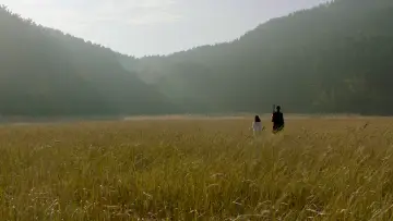 Zasłona do filmu "모르는 이야기" #446978