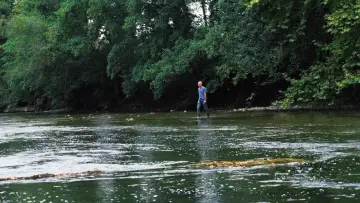 Zasłona do filmu "La Rivière" #1635819
