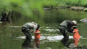 Zasłona do filmu "La Rivière" #1635821