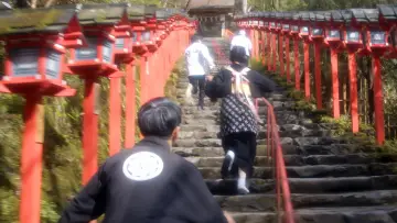 Zasłona do filmu "リバー、流れないでよ" #1099462