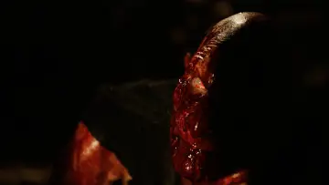 Zasłona do filmu "Kąski" #884544