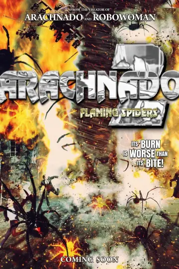Plakat do filmu "Arachnado 2: Flaming Spiders" #1190827