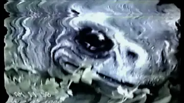 Zasłona do filmu "Frogman" #706857