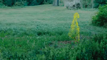 Zasłona do filmu "Jajo larwa motyl" #1086414