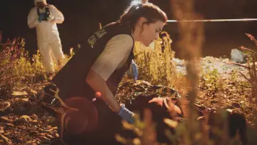 Zasłona do filmu "Lato w czerwieni" #1921154
