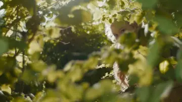 Zasłona do filmu "Drzewo magii" #573245