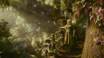 Zasłona do filmu "Drzewo magii" #816002