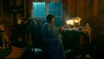 Zasłona do filmu "Don