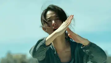 第二十条